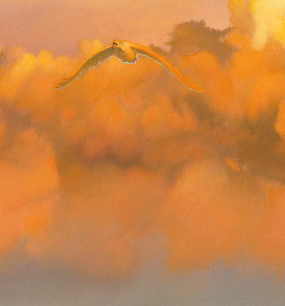 zwaan tegen rode wolk