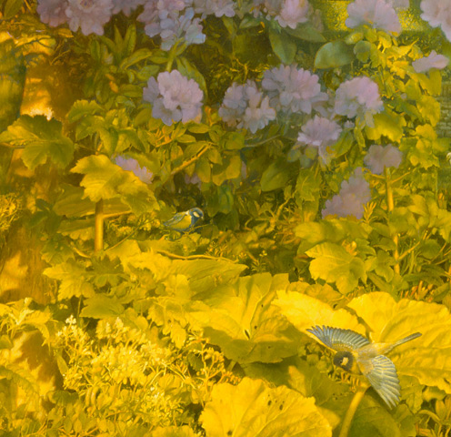 Paul Christiaan Bos, Glimpse: tits between Butterbur and rhododendronflowers