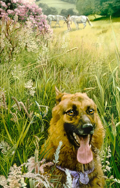 My comrade, Dog Arno, in the long grass. Hills in the background.