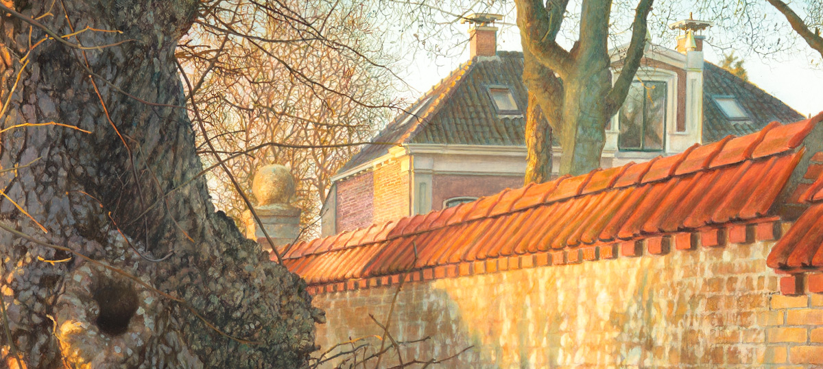 gouden zon op levende daken, golden sun on living roofs