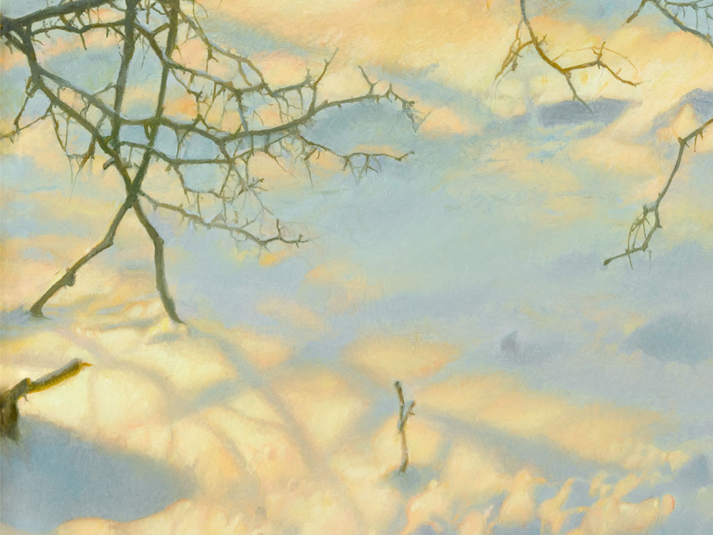 close-up sneeuw, close-up snow, about 12 times enlarged