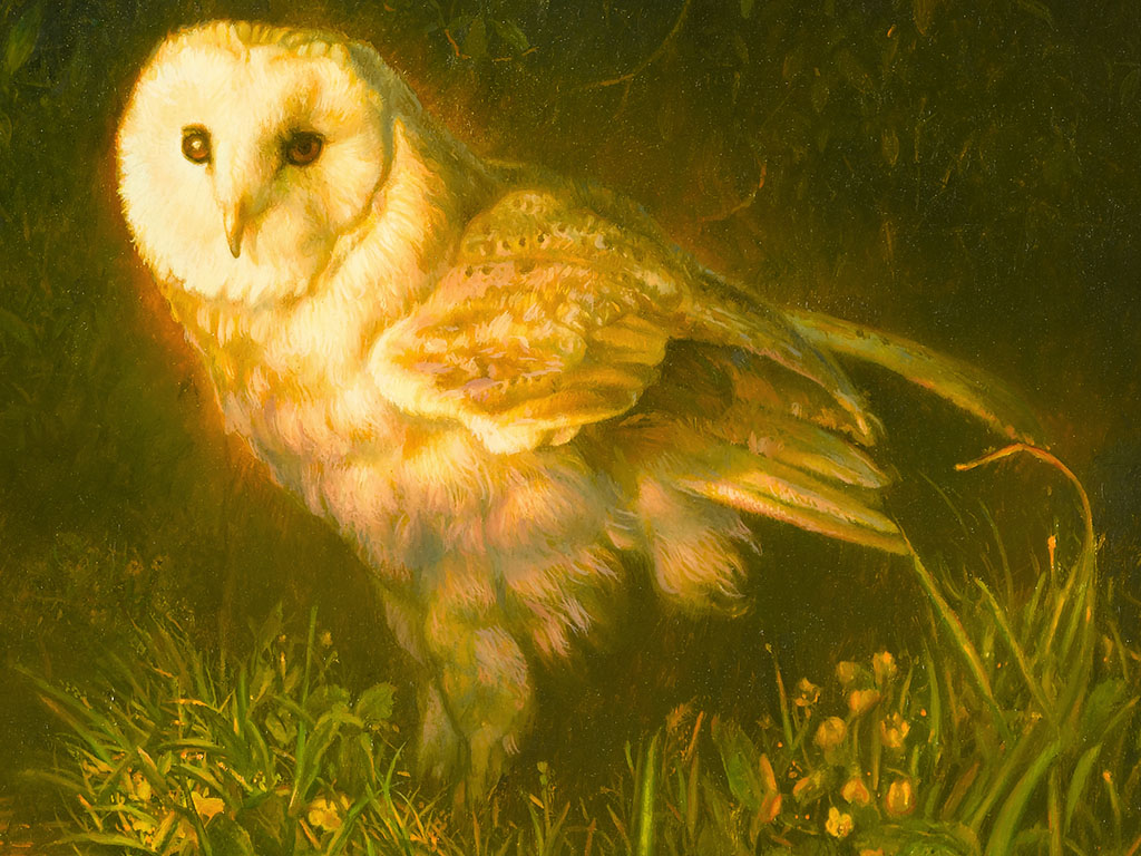 Uil aan de waterkant, 5 x vergroot, Owl on the shore, 5 times enlarged