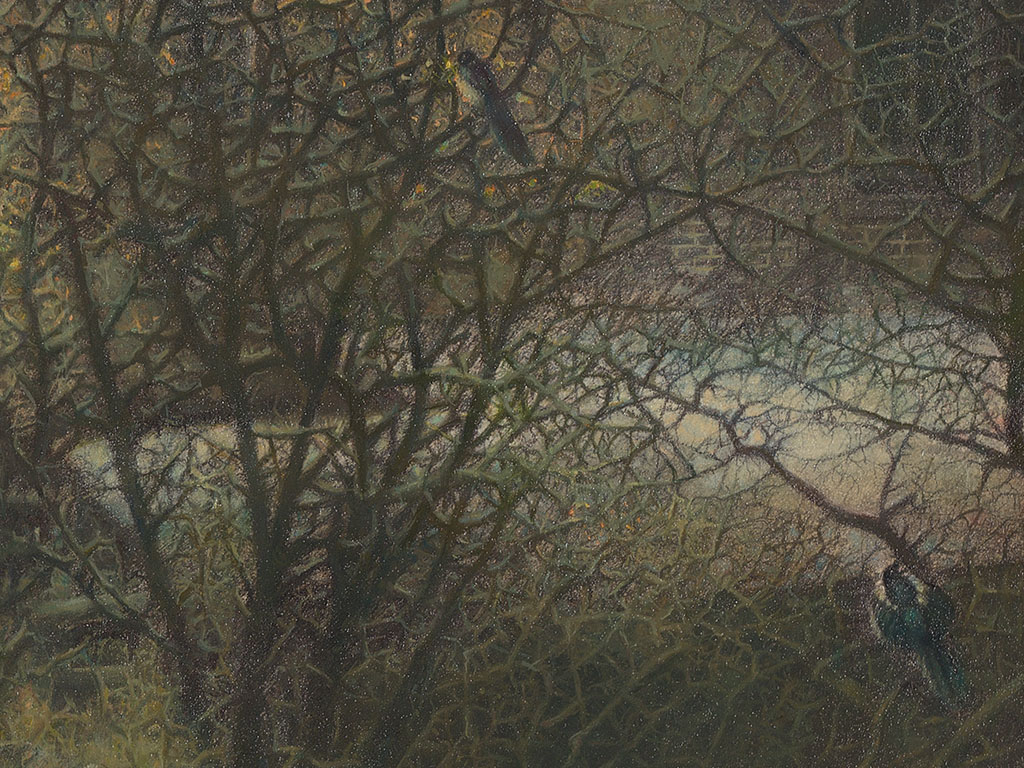 eksters vanaf het dak van een oude, half vervallen schuur, magpies from the roof of an old, dilapidated shed