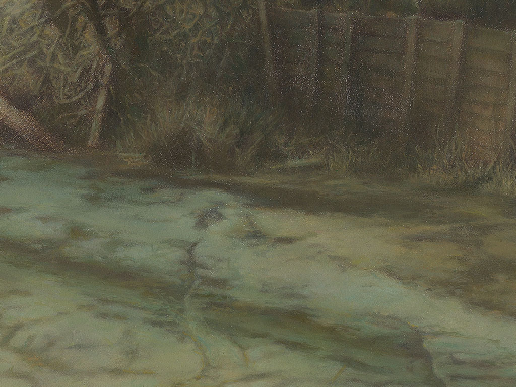 riet vastgevroren op de oever, frozen reeds on the bank