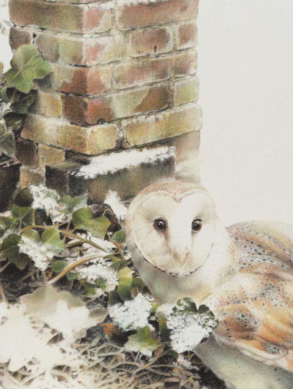 Paul Christiaan Bos kerkuil in de sneeuw