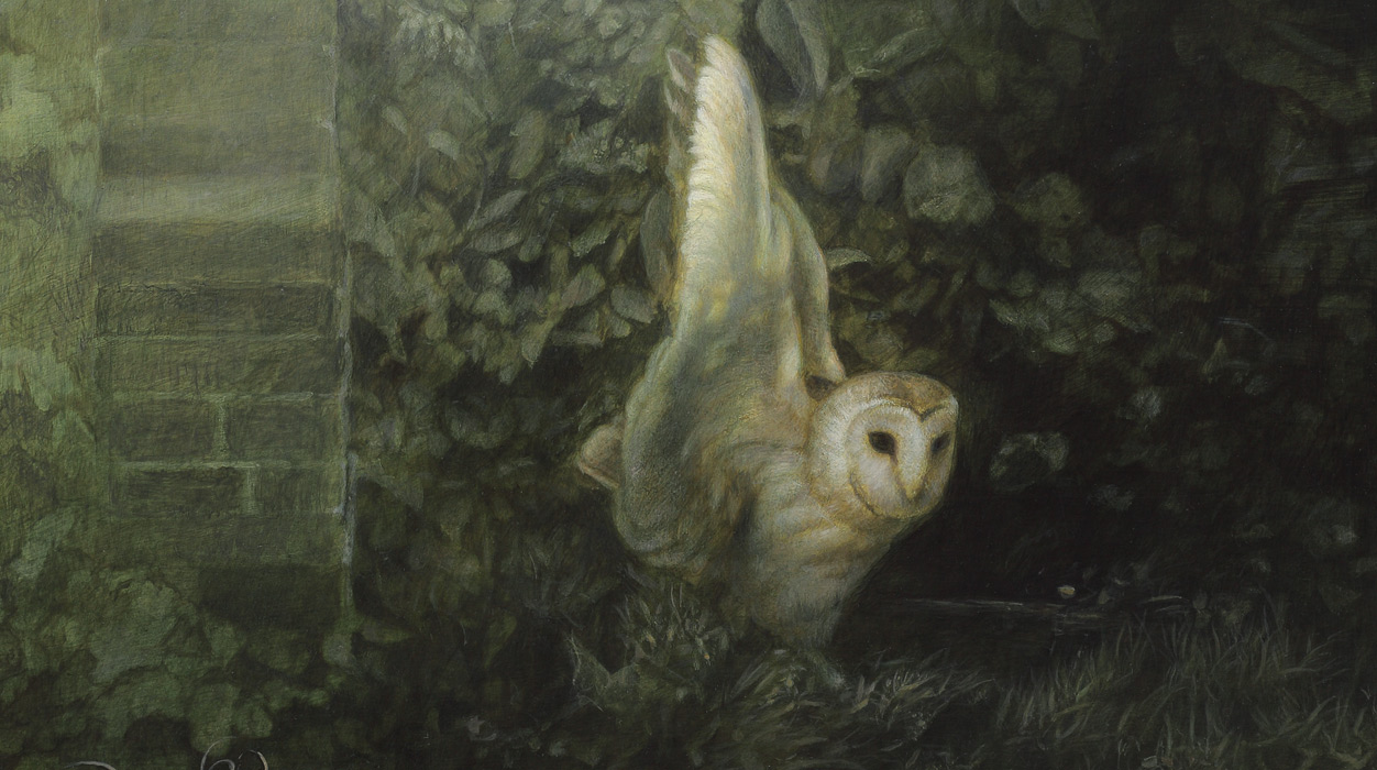 Plas bij nacht met Gouduil