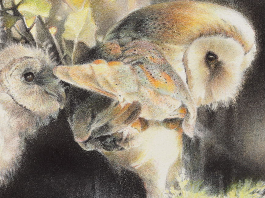 Paul Christiaan Bos detail kerkuil moeder