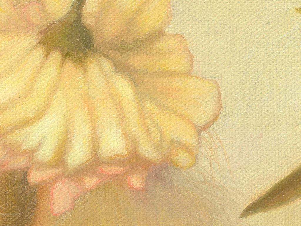 detail bloem. detail flower.