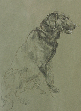 Paul Christiaan Bos, drawing: Study, study for a portrait commission.